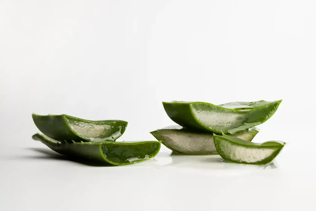close-up-view-aloe-vera-beauty-concept